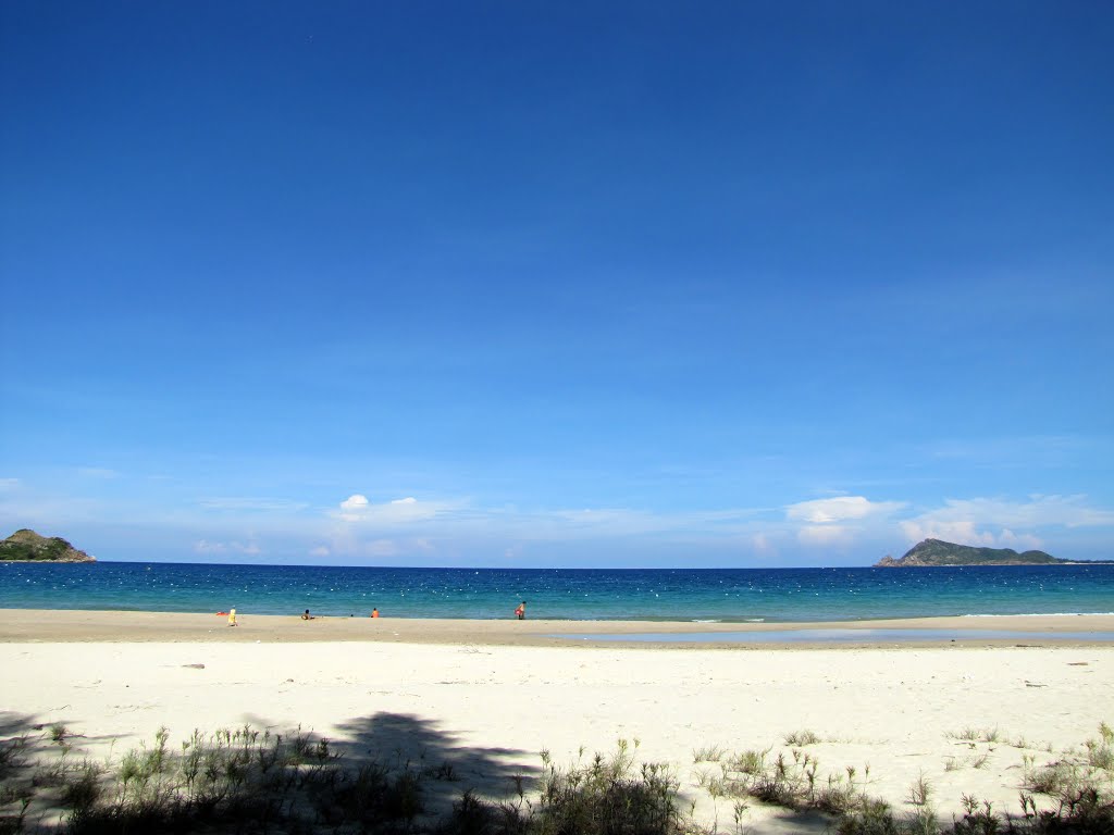 Ngẩn ngơ trước vẻ đẹp hoang sơ của bãi biển Vịnh Hoà Phú Yên 6