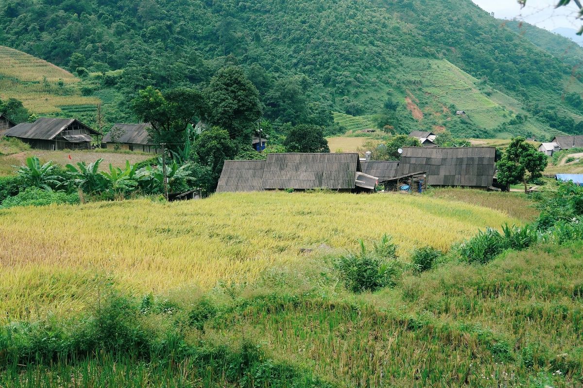 Ngẩn ngơ trước vẻ đẹp nên thơ chốn Simacai qua lời kể của cô bạn Mavis Vi Vu Ký 2