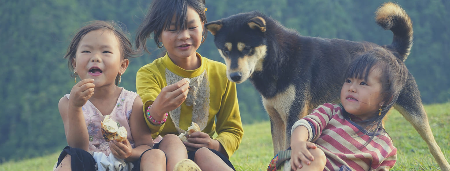 Ngất ngây trước vẻ đẹp mãn nhãn của bản Sín Chải Sapa 6