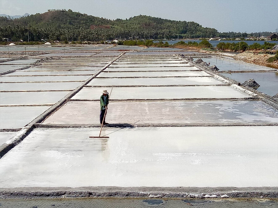 Nghề làm muối Tuyết Diêm, bức tranh lao động thanh bình giữa trời Phú Yên 3