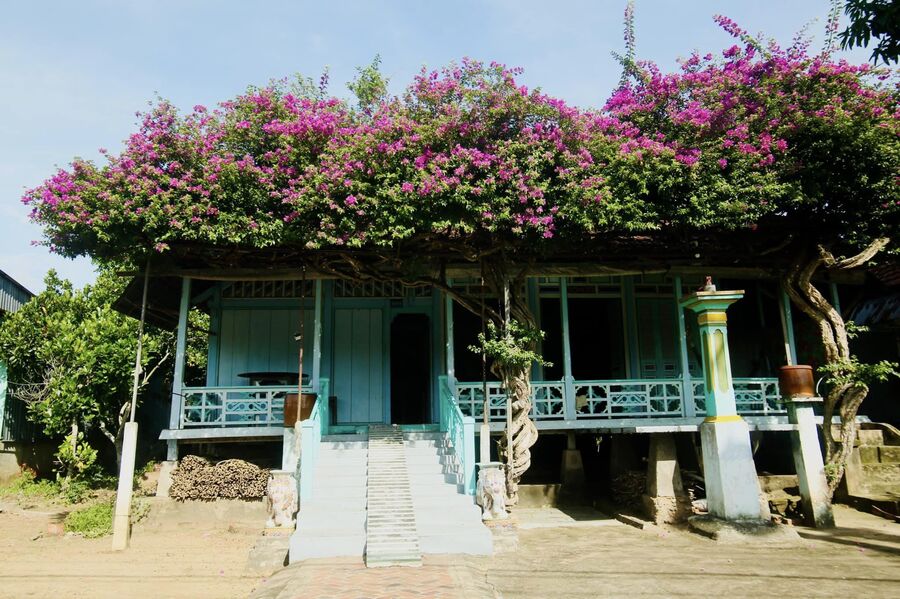 Ngôi nhà hoa giấy ở Phú Tân An Giang, vẻ đẹp thôn quê dịu dàng 6