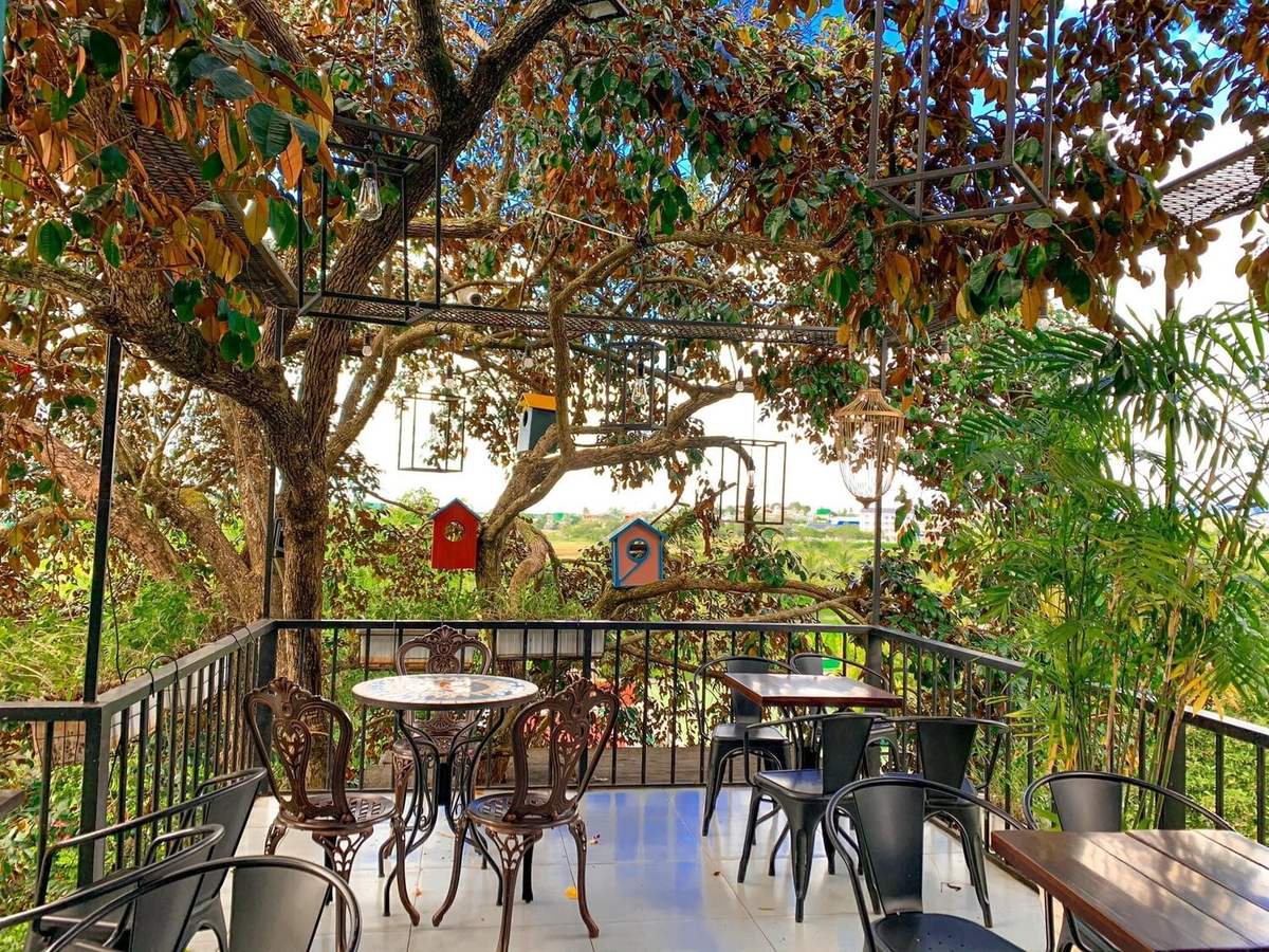 Ngon Avatar Coffee Garden Teahouse, ngôi nhà cà phê xinh đẹp tại Pleiku 5