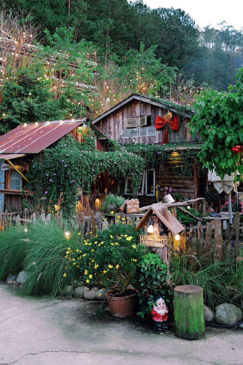 Top 15 quán cafe Đà Lạt xinh đẹp, mộng mơ nhất 9