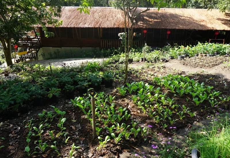 Làng Nhỏ - Hồ Láng Nhớt: Nơi nghỉ dưỡng thư thái lý tưởng 15