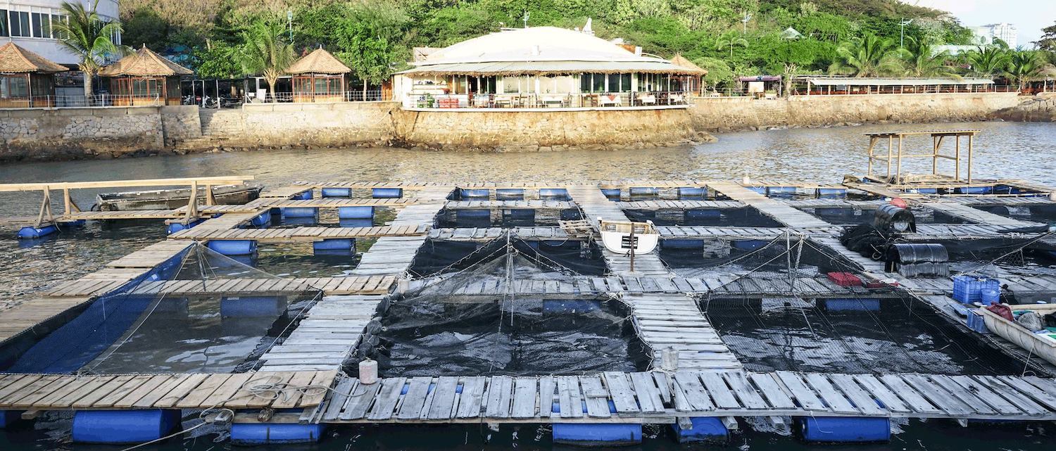 Nhà hàng hải sản Hòn Rù Rì - Nhà hàng có view ngắm hoàng hôn độc đáo tại Vũng Tàu 8