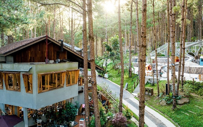 Gợi ý top 15 nhà hàng món ngon Đà Lạt cho bữa tối đáng nhớ 9