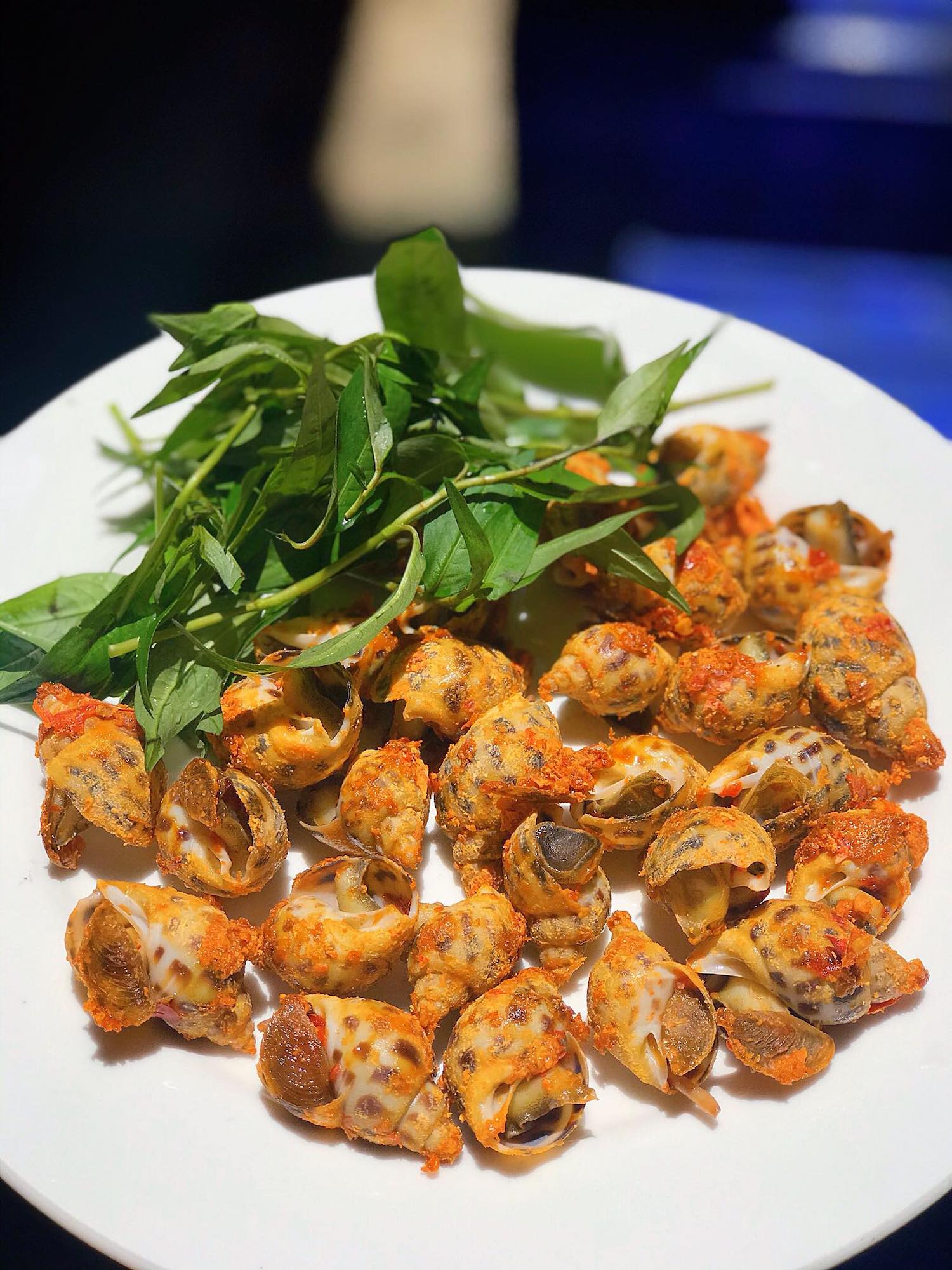 Nhà hàng Quang Anh - Vua cua Ô Loan Phú Yên với các món hải sản thơm ngon, 11