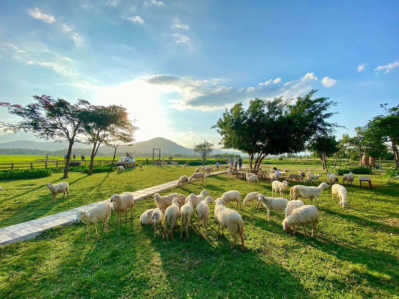 Lịch trình Nha Trang 3 ngày 2 đêm: Hành trình chinh phục thiên đường biển 9