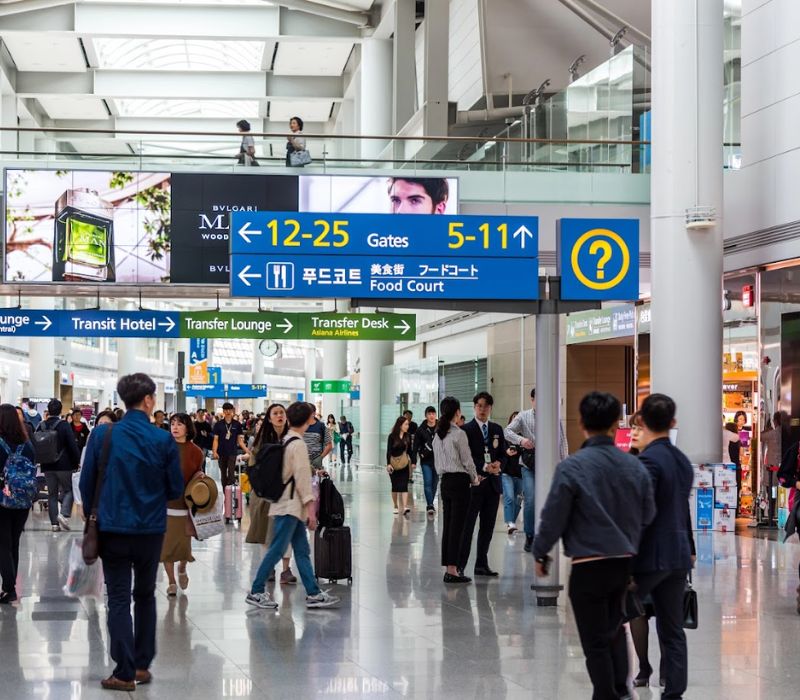 Những đồ cấm mang sang Hàn: Đừng để hành lý khiến bạn lỡ chuyến