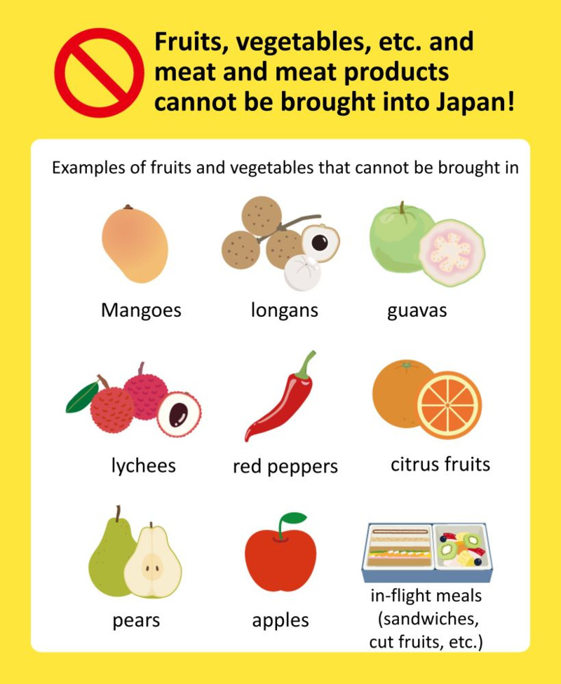 Những đồ cấm mang sang Nhật: Kiểm tra kỹ trước khi đóng vali 5