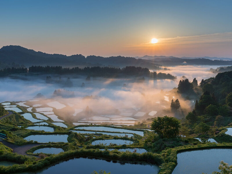 Tỉnh Niigata mộng mơ bên những cánh đồng và ngọn núi Nhật Bản 7