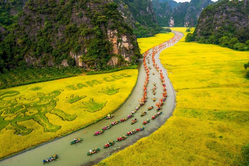 Du lịch Ninh Bình tháng 5, thời điểm vàng săn ảnh lúa chín và mùa bướm 5
