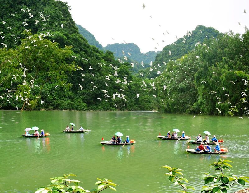 Du lịch Ninh Bình tháng 5, thời điểm vàng săn ảnh lúa chín và mùa bướm 6