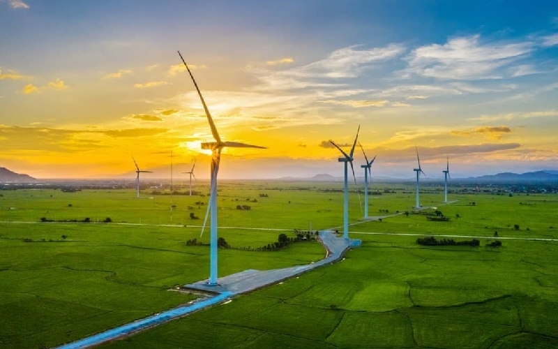 Trải nghiệm du lịch Ninh Hải thực tế từ A-Z 9
