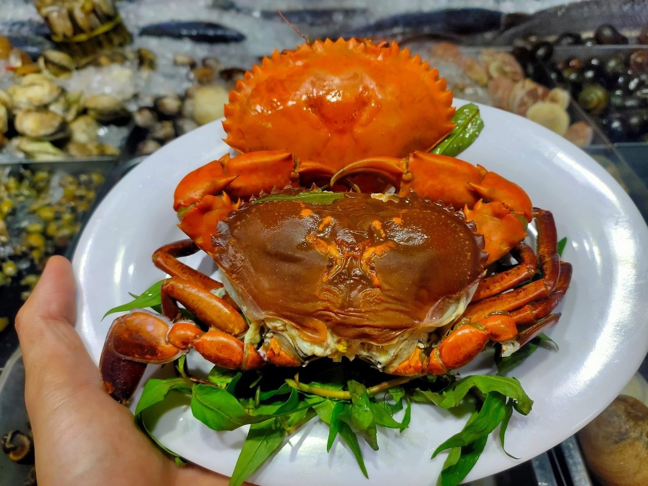 No nê căng cả bụng với bữa hải sản thơm ngon tại Quán Thái Nướng 16