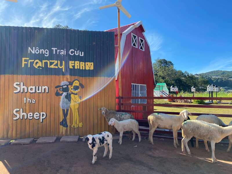 Khám phá Nông trại cừu Frenzy Farm, thế giới động vật đáng yêu 2