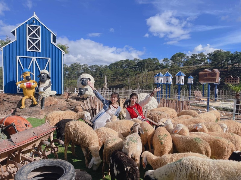 Khám phá Nông trại cừu Frenzy Farm, thế giới động vật đáng yêu 3