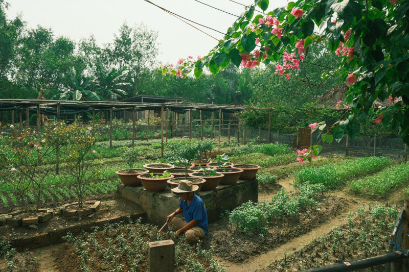 Vui quên lối về ở nông trại xanh 5Ku Farm giữa lòng Sài Gòn 8