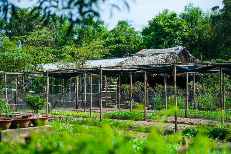 Vui quên lối về ở nông trại xanh 5Ku Farm giữa lòng Sài Gòn 9