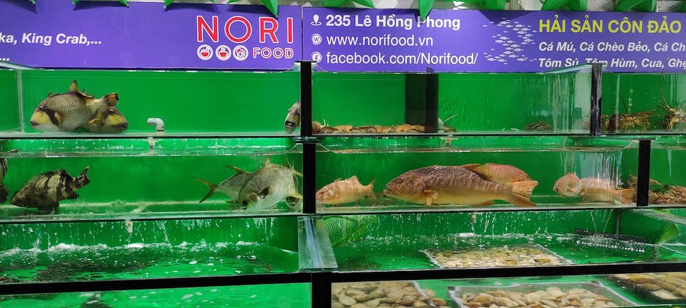 Nori Food – Nhà hàng đối chứng độc đáo tại thành phố Vũng Tàu 3