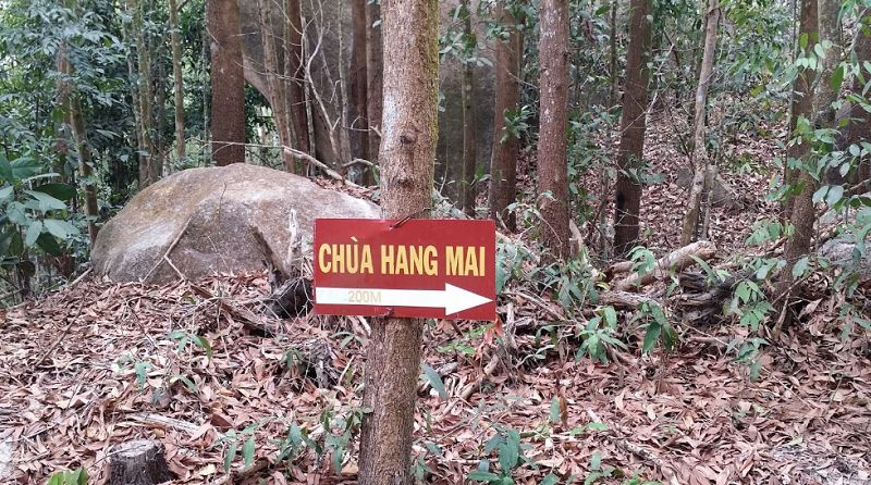 Núi Dinh Vũng Tàu: Điểm đến siêu ngầu cho lần đầu trekking 8