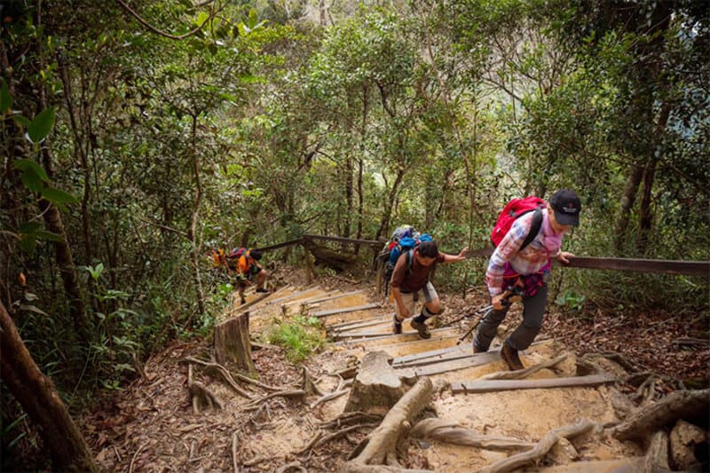 Chinh phục Núi Kinabalu, nóc nhà Đông Nam Á 5