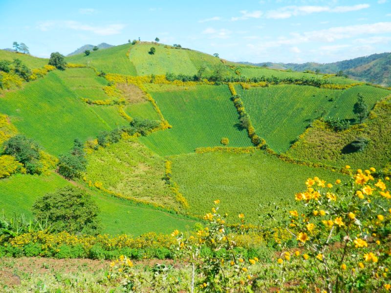 Top 5 ngọn núi lửa ở Việt Nam sở hữu cảnh đẹp siêu thực 4