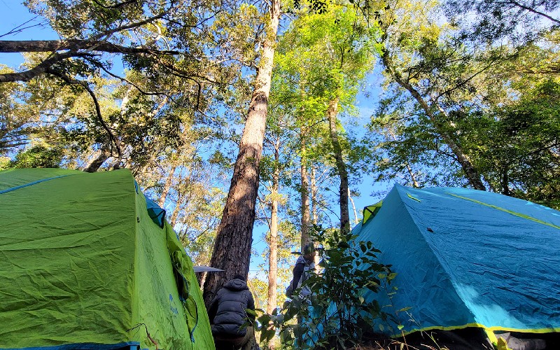 Núi Voi Hải Phòng có gì? Điểm check-in lịch sử hấp dẫn 8