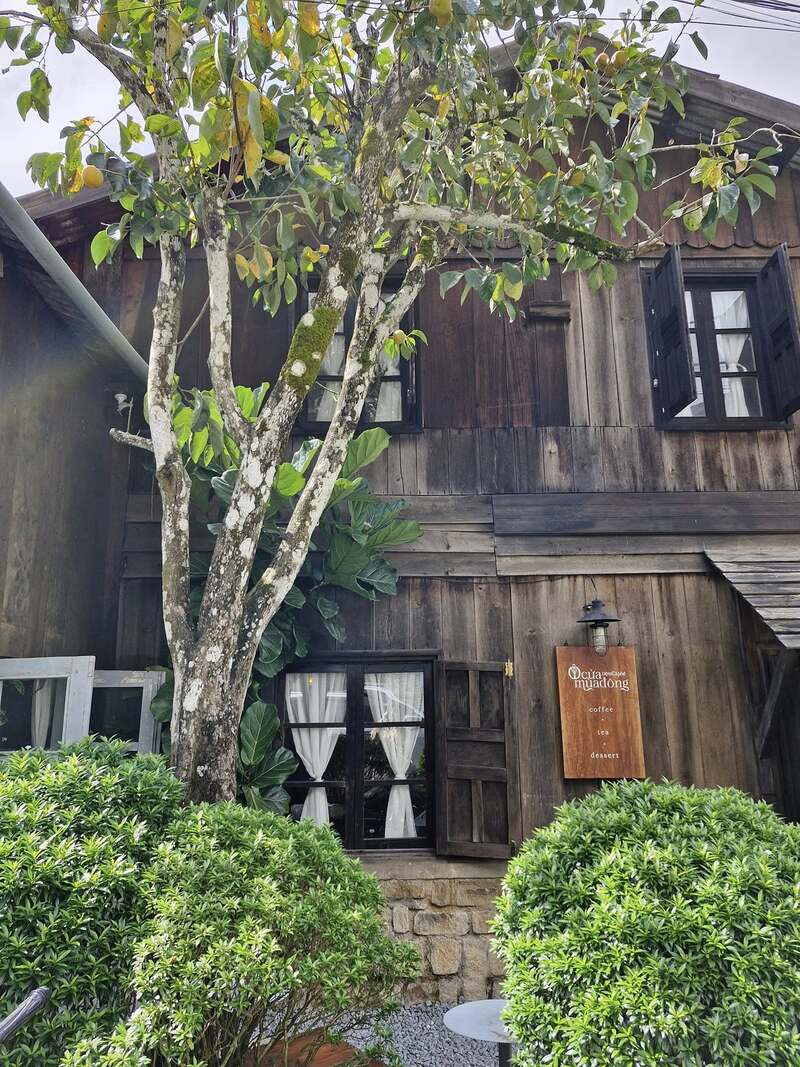 Top 15 quán cafe Đà Lạt xinh đẹp, mộng mơ nhất 18