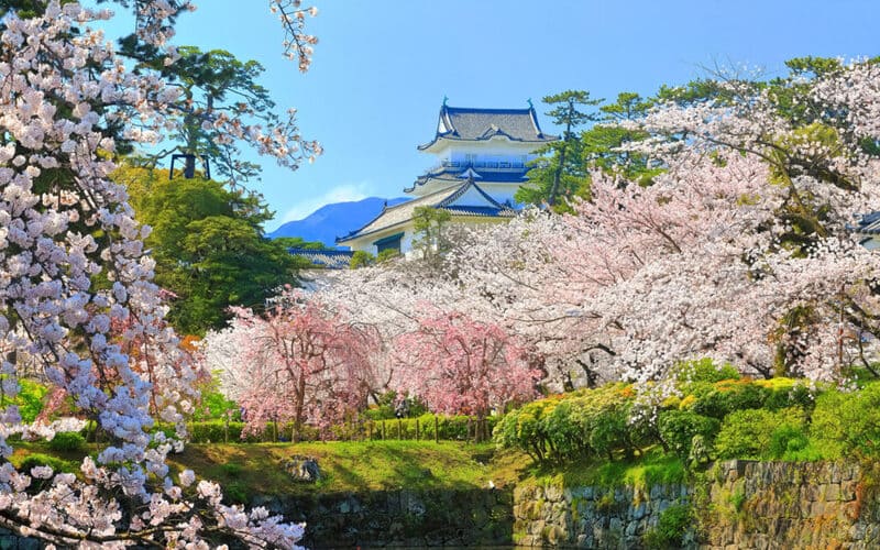 Thành cổ Odawara, nơi thiên nhiên và văn hóa giao hòa 6