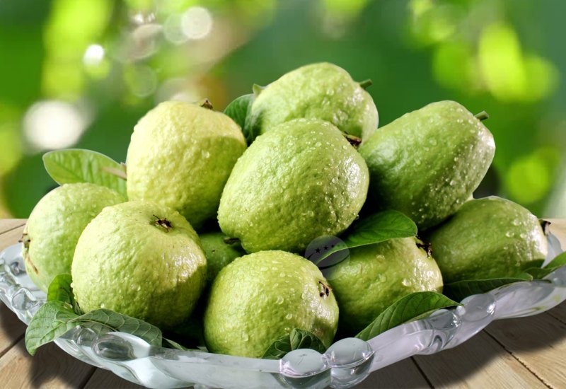 Top 14 đặc sản Thái Bình trứ danh, hấp dẫn ngon nức tiếng 5