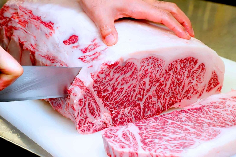Giới thiệu về thành phố ánh sáng Okayama Nhật Bản 10
