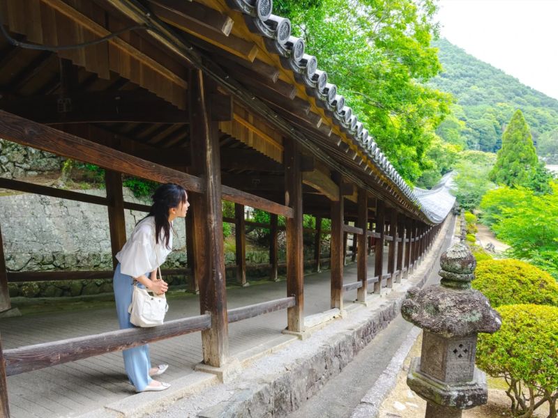 Du lịch Okayama: Hành trình về miền nắng ấm và sắc hoa 7
