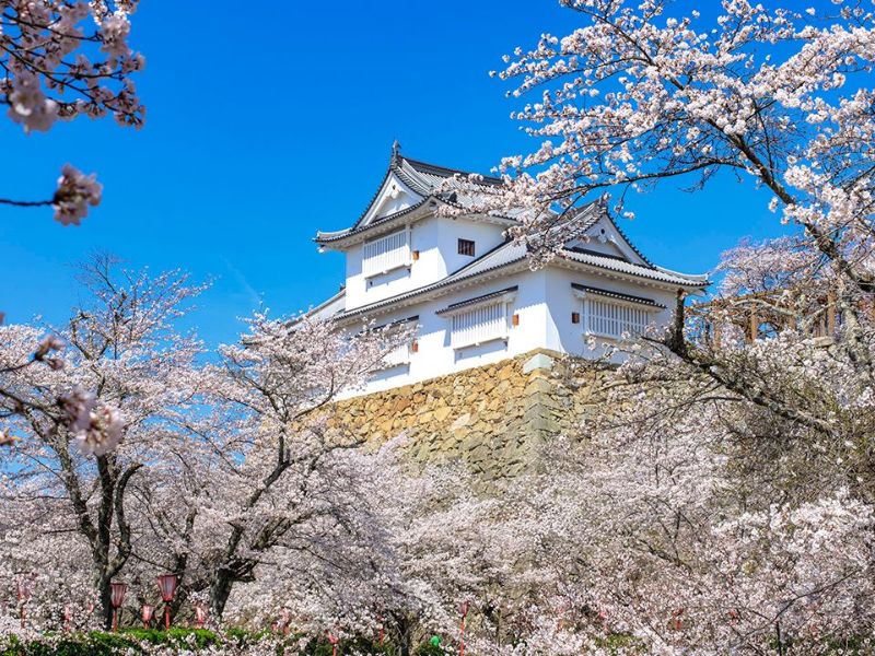 Du lịch Okayama: Hành trình về miền nắng ấm và sắc hoa 3