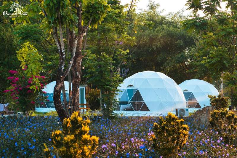 Về với Orchard Home Resort Nam Cát Tiên, chiếc vé trở về tuổi thơ nơi đại ngàn 4