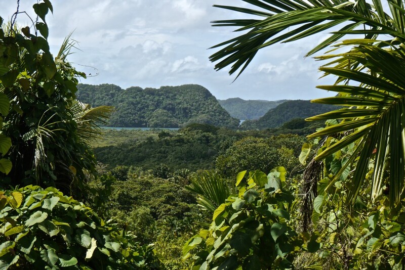 Du lịch Palau, thiên đường biển đảo hoang sơ giữa Thái Bình Dương 6