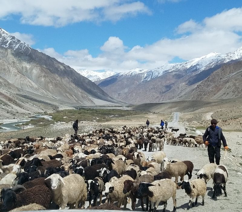 Đến Cao nguyên Pamir khám phá ‘nóc nhà thế giới’ và Con đường Tơ Lụa 14