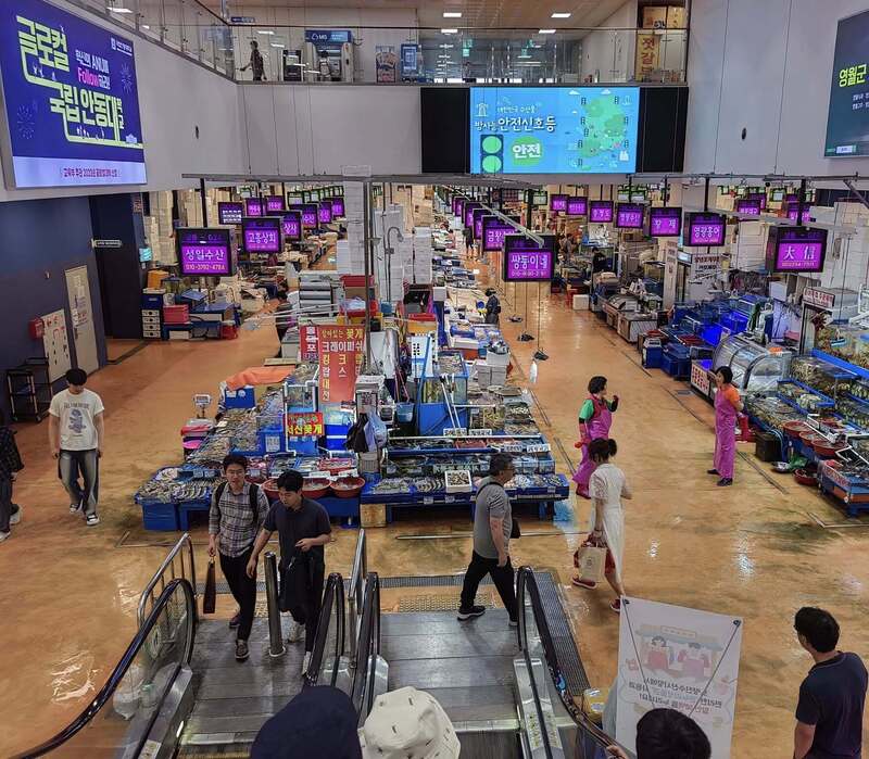 Phá đảo chợ cá Noryangjin, thiên đường hải sản tươi sống giữa lòng Seoul