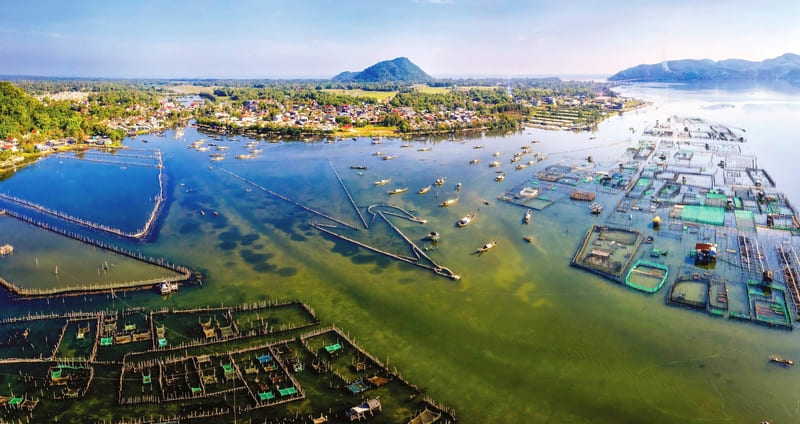 Phá Tam Giang: Vẻ đẹp mơ mộng giữa ráng chiều xứ Huế 2