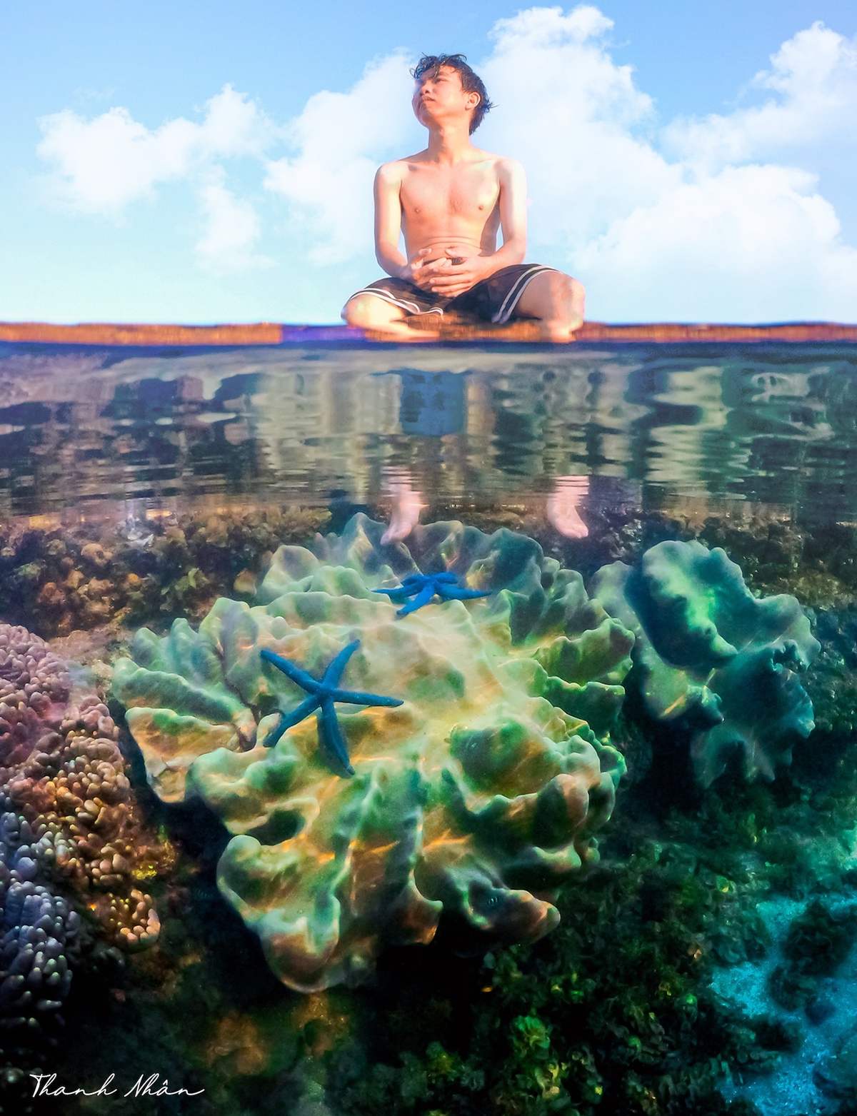 Phải cảm ơn bộ ảnh tuyệt vời của chàng trai 9x, giúp bạn ngắm san hô Phú Yên đẹp mê mẩn, lung linh sắc màu 5