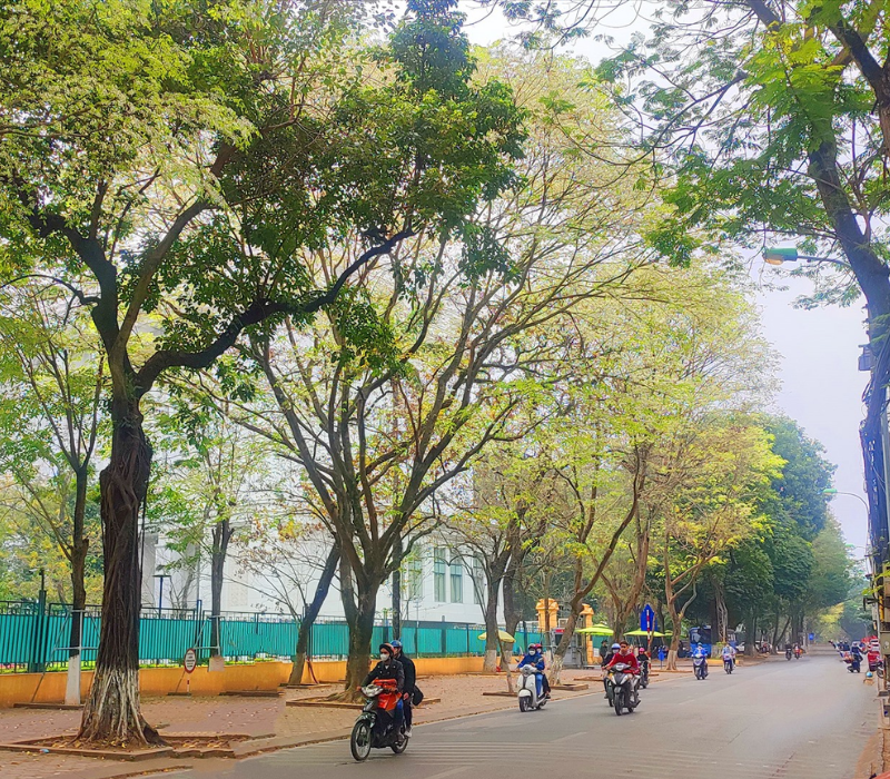 Phố Đặng Văn Ngữ có gì? Khám phá từ A đến Z 2