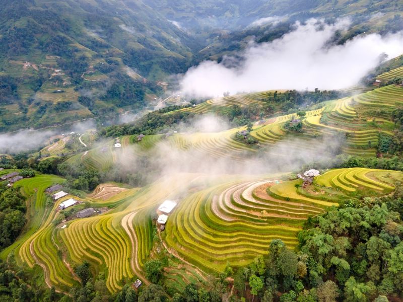Phong cảnh đẹp ở Việt Nam và hành trình xuôi dòng thưởng ngoạn 3
