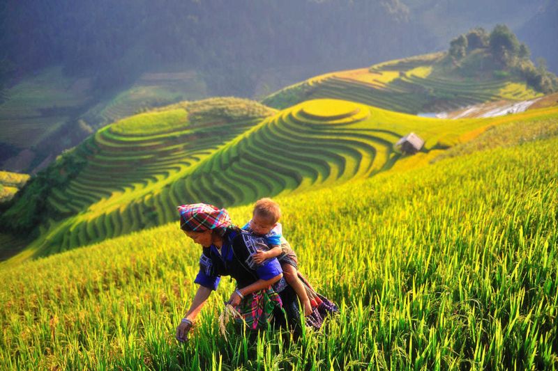 Phong cảnh đẹp ở Việt Nam và hành trình xuôi dòng thưởng ngoạn 7