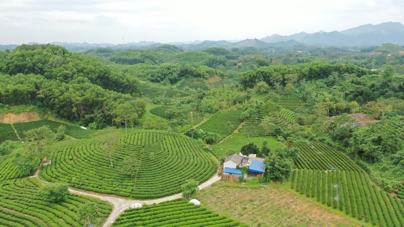 Phú Lương Thái Nguyên, vùng đất văn hóa với nhiều trải nghiệm du lịch 3