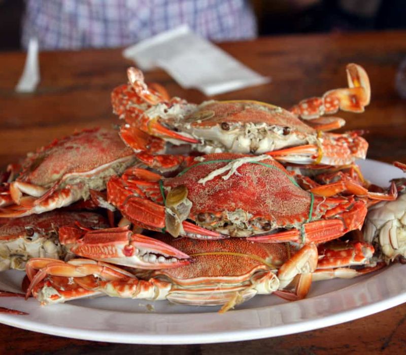 Phú Quốc đi mùa nào đẹp nhất? Cẩm nang du lịch Đảo Ngọc từ A-Z 11