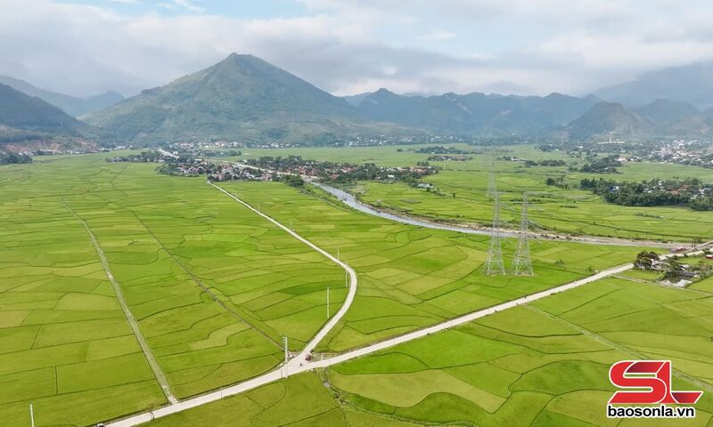 Du lịch Phù Yên Sơn La, khám phá hương sắc hoang sơ Tây Bắc 5