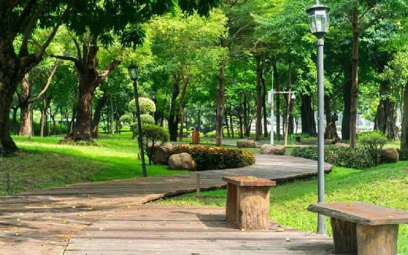 Phường Gò Vấp mới có gì? Những trải nghiệm không nên bỏ lỡ 6