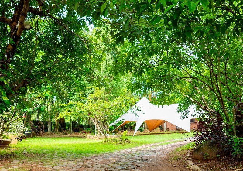 Phường Thủ Đức: Thông tin sáp nhật & điểm vui chơi thú vị 7