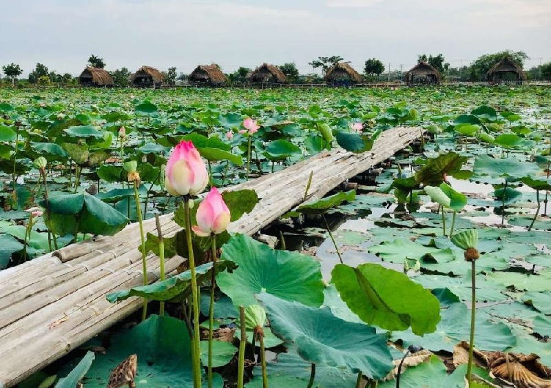 Phường Thủ Đức: Thông tin sáp nhật & điểm vui chơi thú vị 9