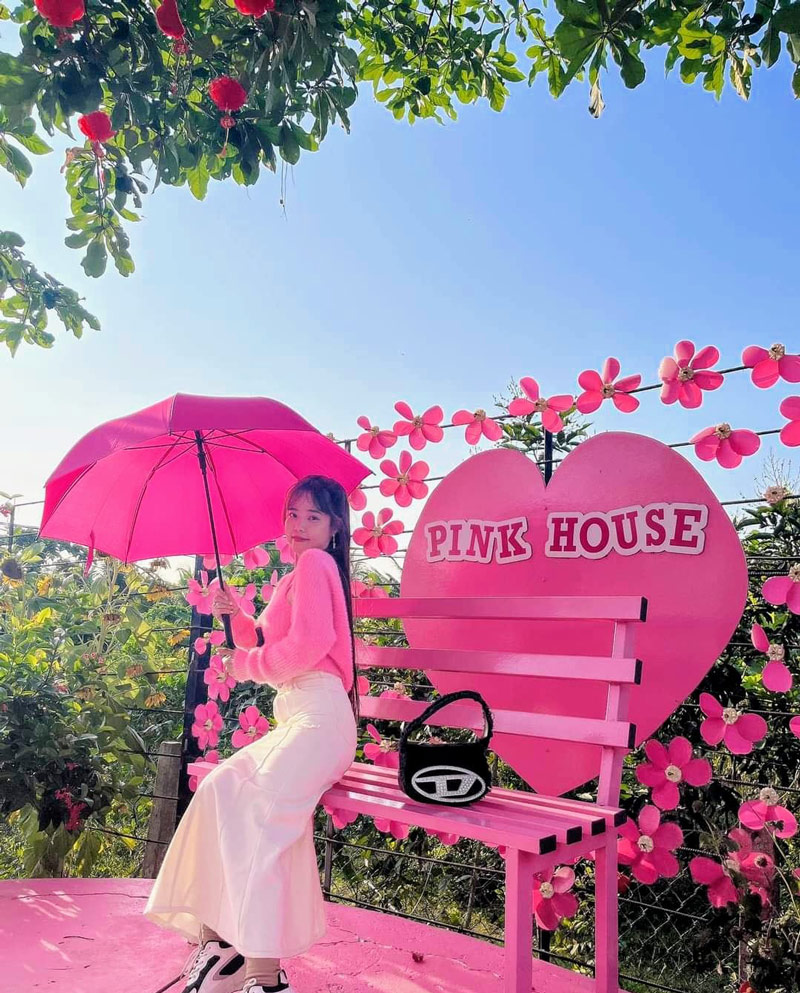 Khám phá Pink House, khu du lịch ngọt ngào nhất Đồng Tháp 10